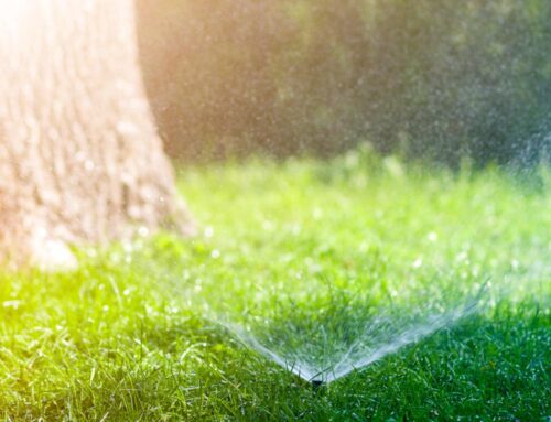 Sprinkle Smart: Top Water-Saving Strategies for Your Lawn Sprinklers