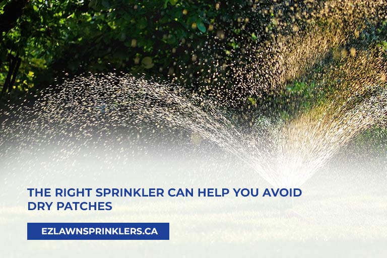 The-right-sprinkler-can-help-you-avoid-dry-patches