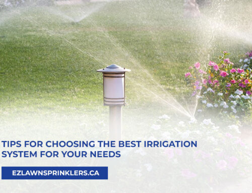 Tips for Choosing the Best Irrigation System for Your Needs