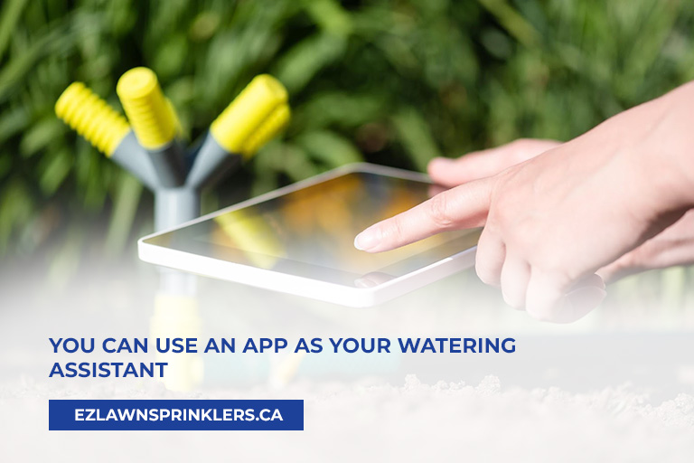 You-can-use-an-app-as-your-watering-assistant