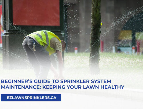 Beginner’s Guide to Sprinkler System Maintenance: Keeping Your Lawn Healthy