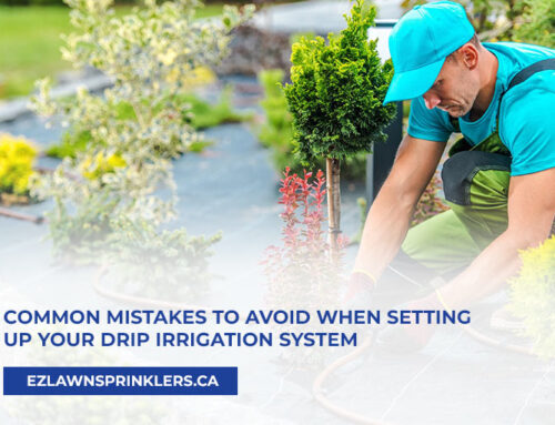 Common Mistakes to Avoid When Setting Up Your Drip Irrigation System