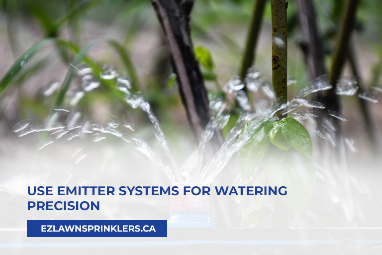 Use-emitter-systems-for-watering-precision