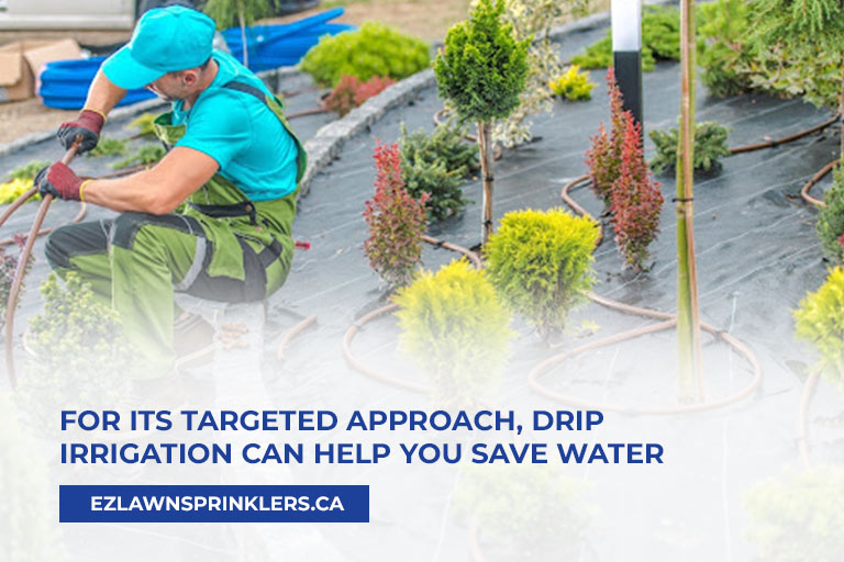 For-its-targeted-approach,-drip-irrigation-can-help-you-save-water