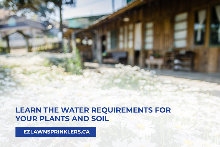 Learn-the-water-requirements-for-your-plants-and-soil