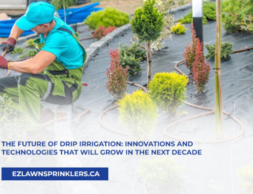 The Future of Drip Irrigation: Innovations and Technologies That Will Grow in the Next Decade