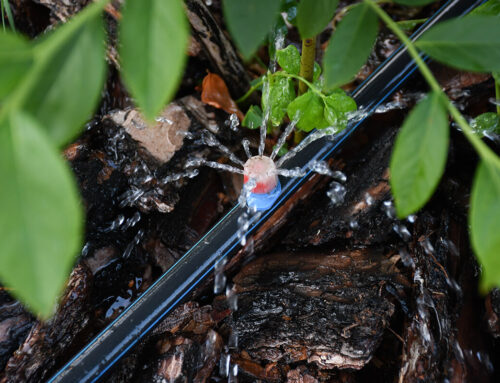 Top 6 Signs Your Lawn Drip Irrigation Needs Maintenance