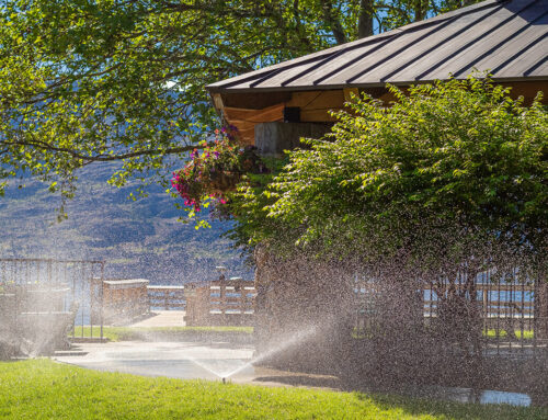 10 Common Lawn Sprinkler Issues in Spring