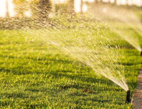 7 Essential Tips for New Homeowners: Lawn Sprinkler Basics