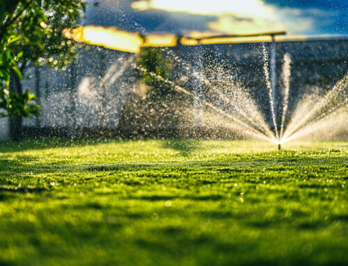 Essential Steps for Spring Preparation of Your Lawn Sprinkler System