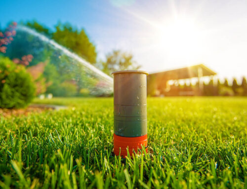 5 Lawn Irrigation Myths: Busted!