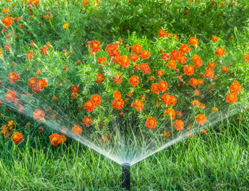 Beyond Lawns: Irrigating Gardens and Flower Beds