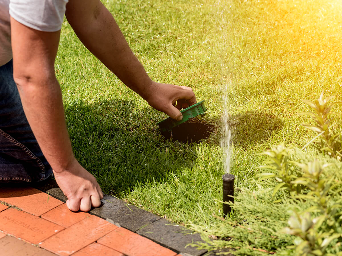 Clogged-Emitters-and-Leaks