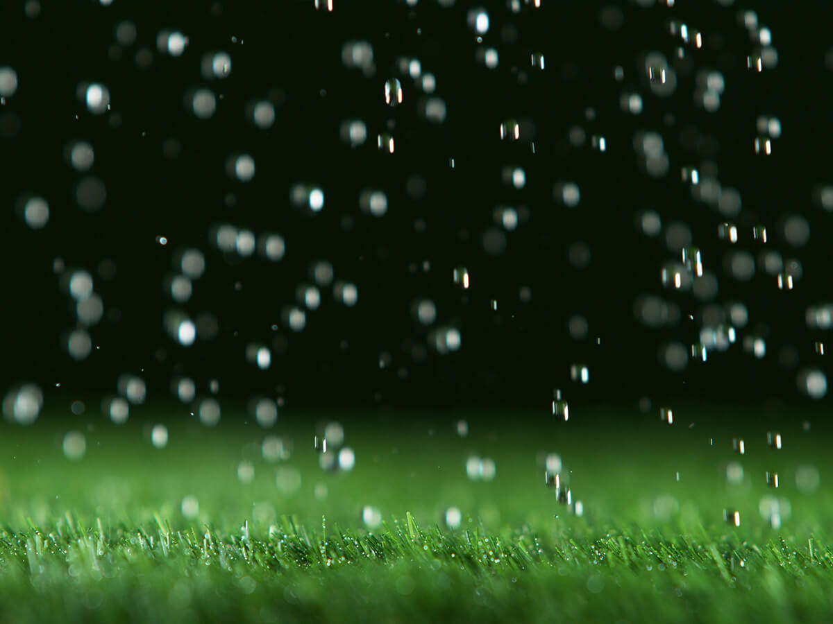 Myth-4-Rain-Is-Enough-for-a-Healthy-Lawn