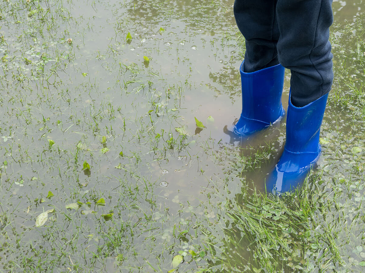 Overly-Saturated-or-Flooded-Areas