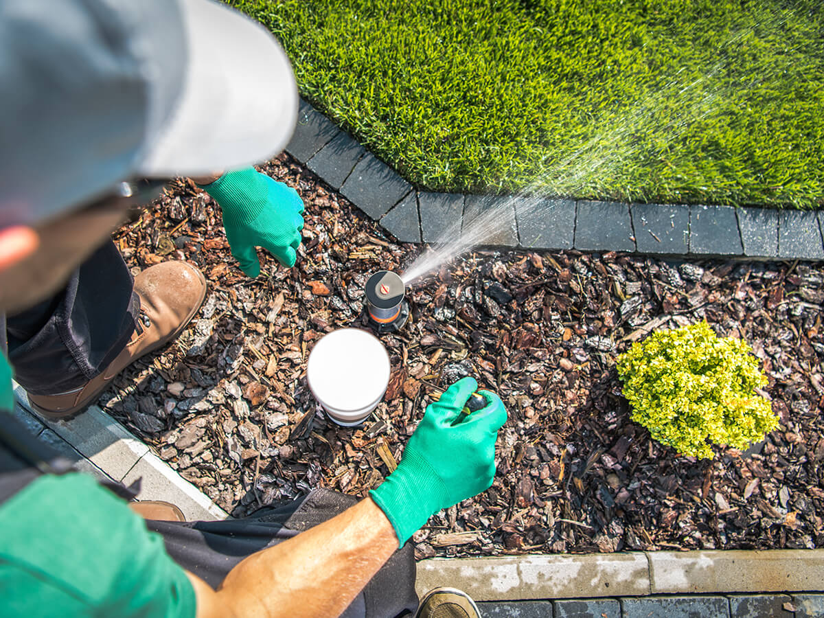The-Role-of-Professional-Lawn-Care-Services