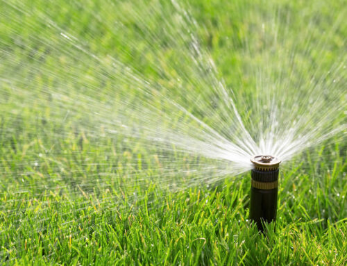 The Secret to a Green Lawn? Perfect Water Pressure